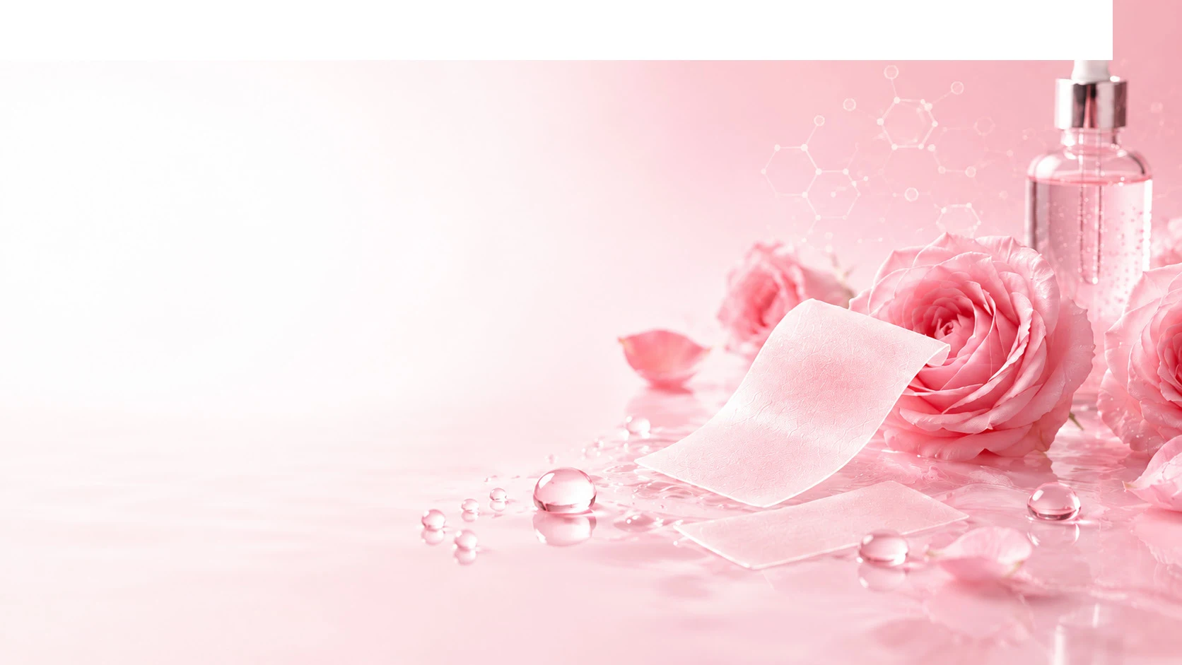 Beauty, healthy aging and women's wellness oral film concepts; source catalog illustration